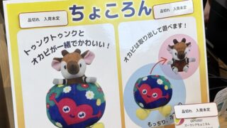 横浜グリーンエクスポまであと351日
