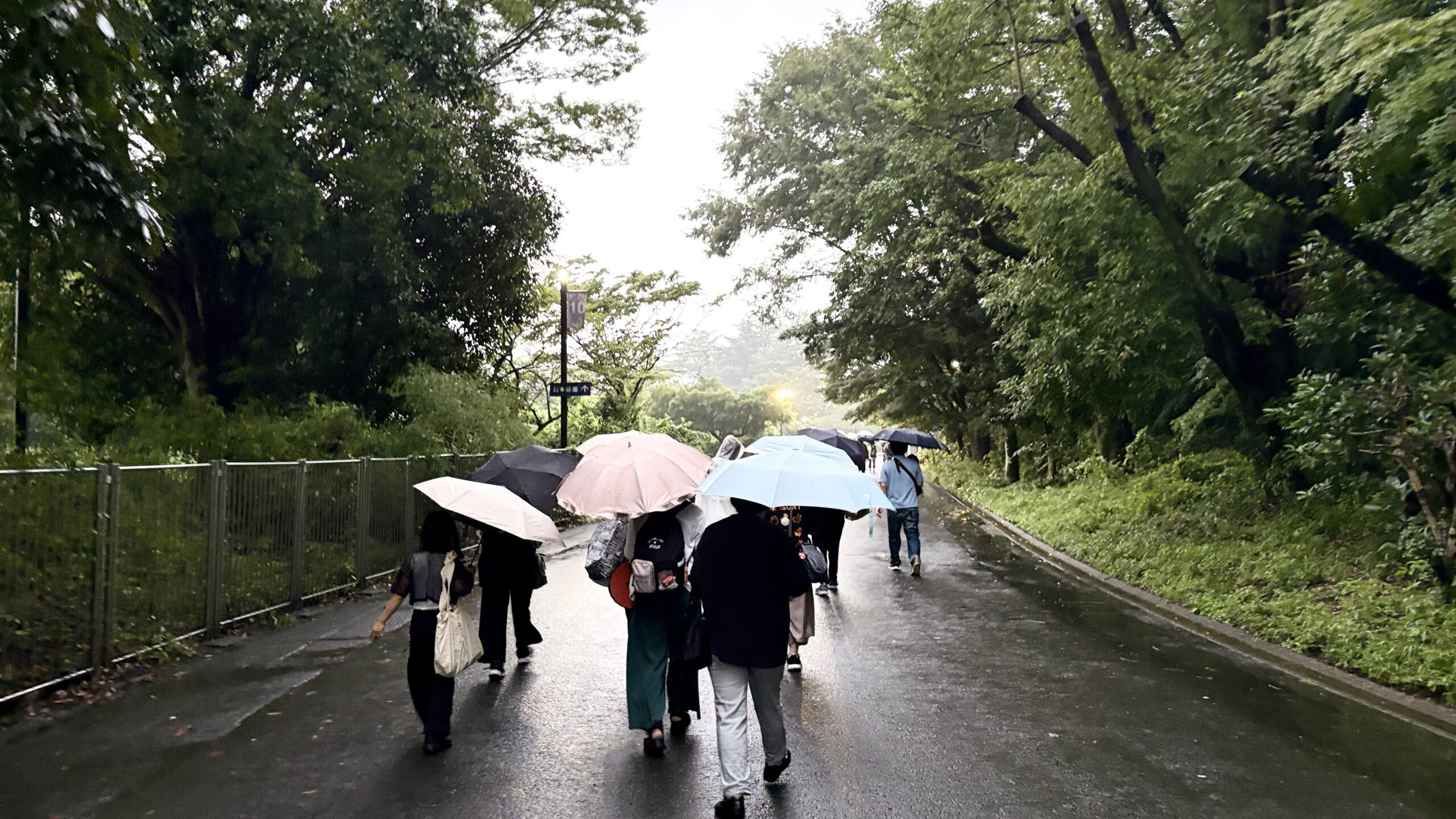 入場後、傘をさして園路を歩きみんなの原っぱへ向かう来場者