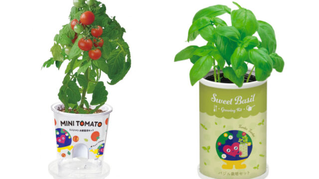 tunk-tunk-grow-kit-2027-expo