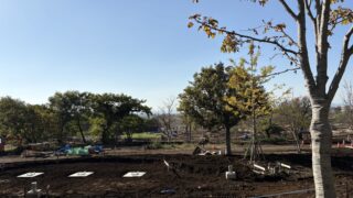 横浜市フィールド活動拠点【SATOYAMA Village】｜横浜園芸博パビリオン・展示紹介