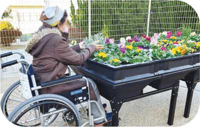 車いすに座ったまま花の世話をするレイズドベッド