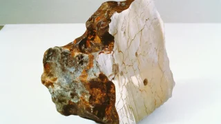 特別展「大南極展」｜大阪・関西万博で展示された「触れる火星隕石(スライス)」の実物も展示