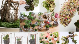 【花・緑出展（屋内）】中島大輔さん｜GREEN×EXPO2027