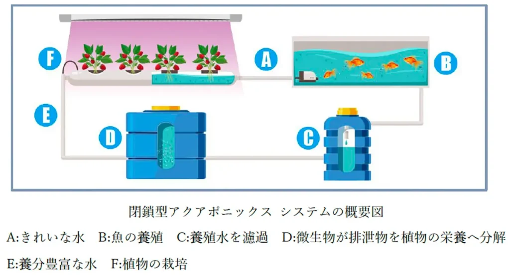 閉鎖型アクアポニックス システムの概要