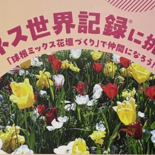 2027年横浜園芸博】ギネス世界記録™︎に挑戦！11月に市内5拠点で2,100