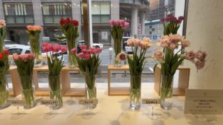 【レポート記事】日本橋とやま館「2027国際園芸博覧会（横浜花博）～ 富山の花と緑 ～」