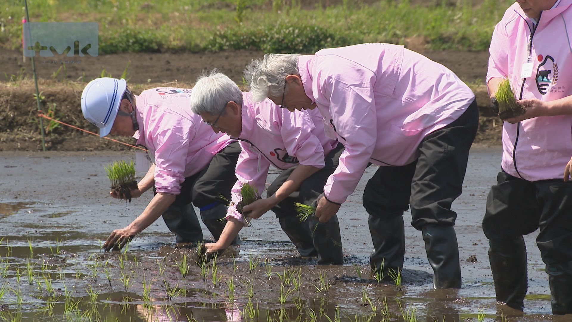 【GREEN×EXPO DiRECT #10】会場を流れる相沢川。その先に広がるGREEN×EXPO 2027の見どころとは…