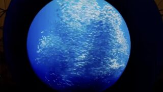 未来館で復活したBLUE OCEAN DOME|「万博以上の迫力」は本当だった<レポート記事>