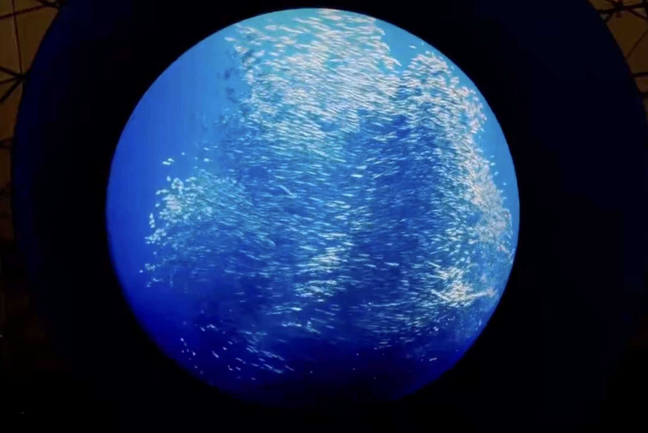 未来館で復活したBLUE OCEAN DOME｜「万博以上の迫力」は本当だった＜レポート記事＞