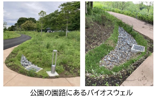 旧上瀬谷通信施設地区の公園園路に整備されたバイオスウェル