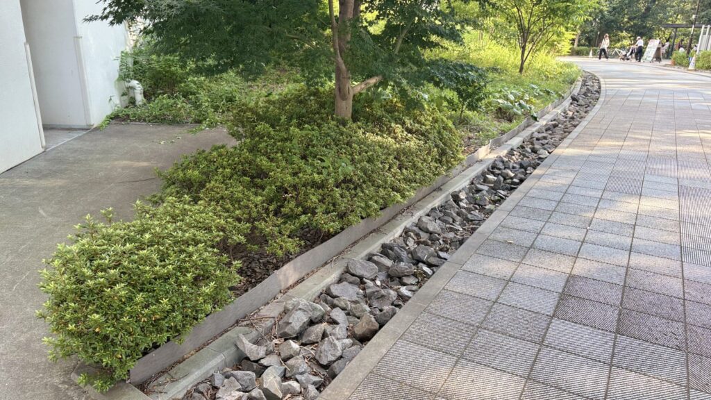 南町田グランベリーパークのバイオスウェル（雨のみち）