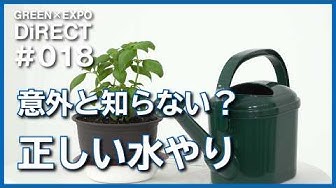 【GREEN×EXPO DiRECT #18】意外と知らない？正しい水やり