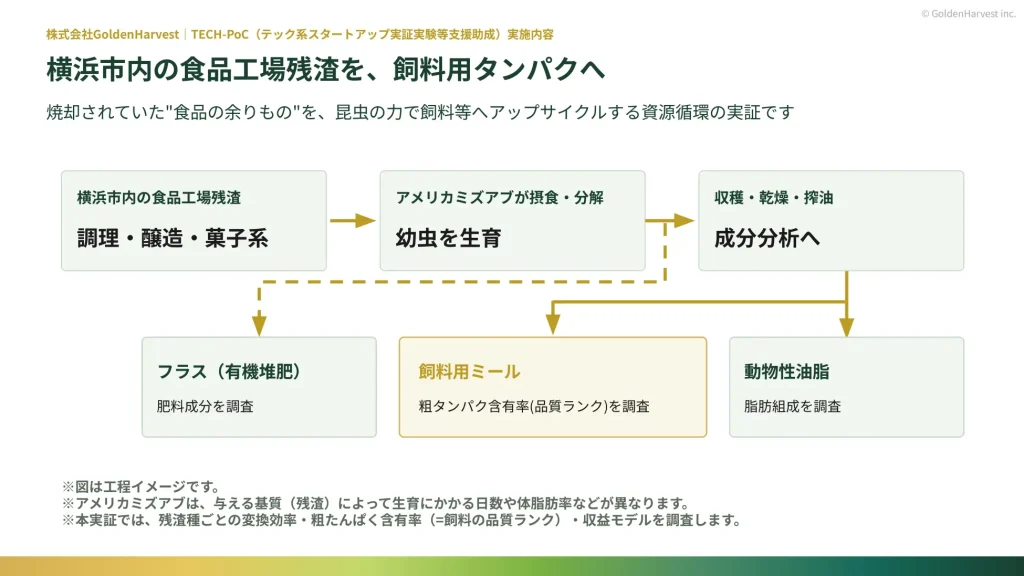 食品残渣をアメリカミズアブで飼料用タンパクに変換する実証の概要