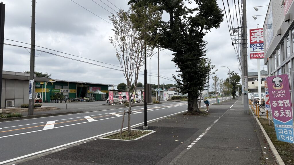 海軍道路沿いのドラッグストアと歩道