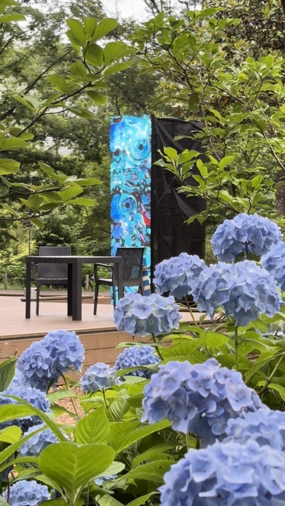 アジサイと落合陽一さんの展示
