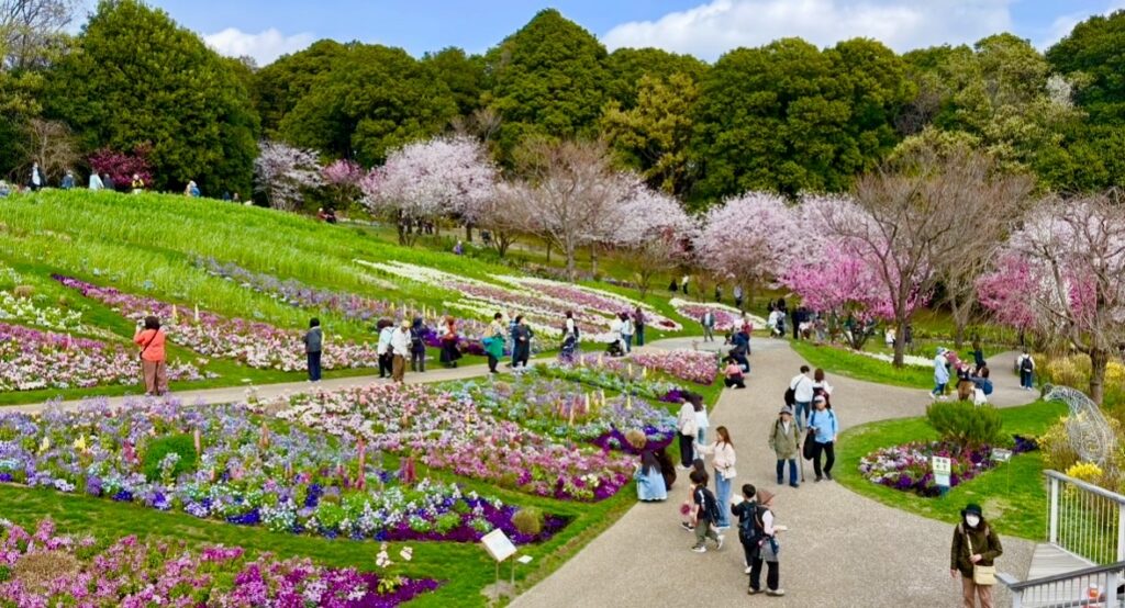 春の里山ガーデンフェスタの大花壇と桜