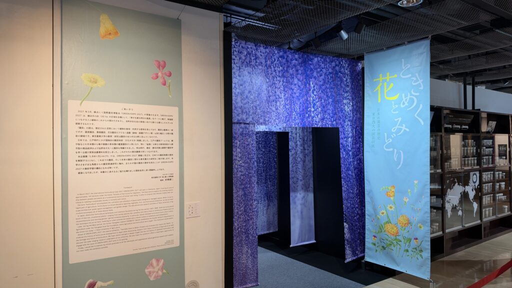企画展の入口