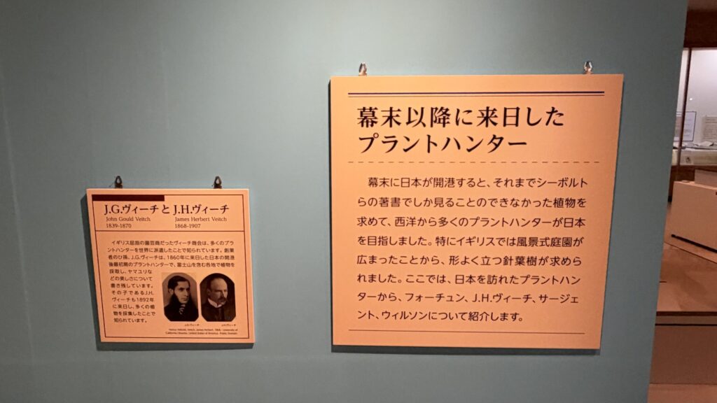 解説パネル「幕末以降に来日したプラントハンター」