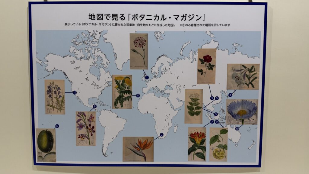 パネル「地図で見る『ボタニカル・マガジン』」
