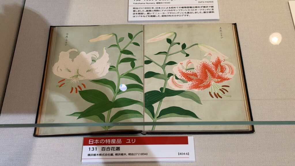 展示資料『百合花選』と解説「日本の特産品 ユリ」