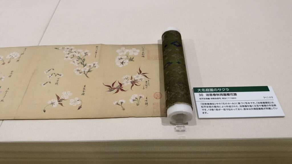 巻物『浴恩春秋両園櫻花譜』に描かれたサクラ