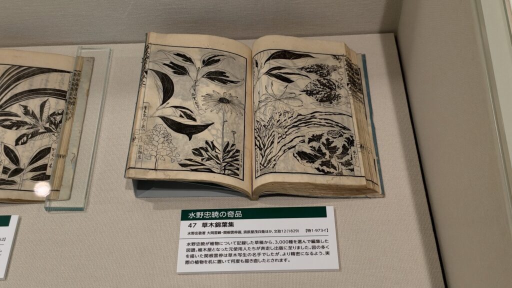 展示資料『草木錦葉集』と解説「水野忠暁の奇品」