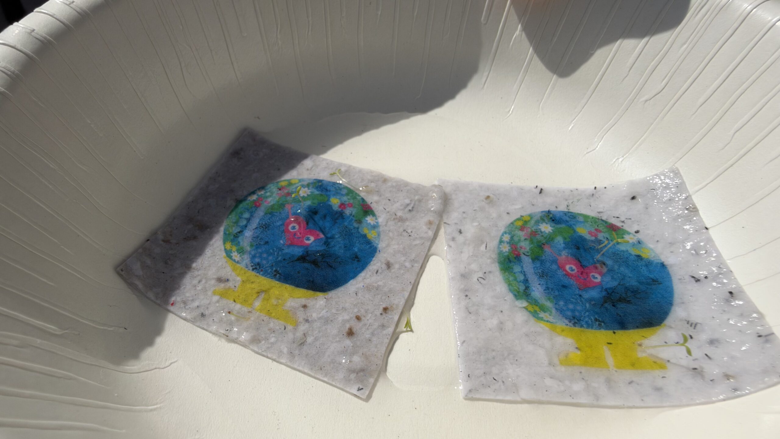 水に浸したトゥンクトゥンクのシードペーパーから芽が出ている