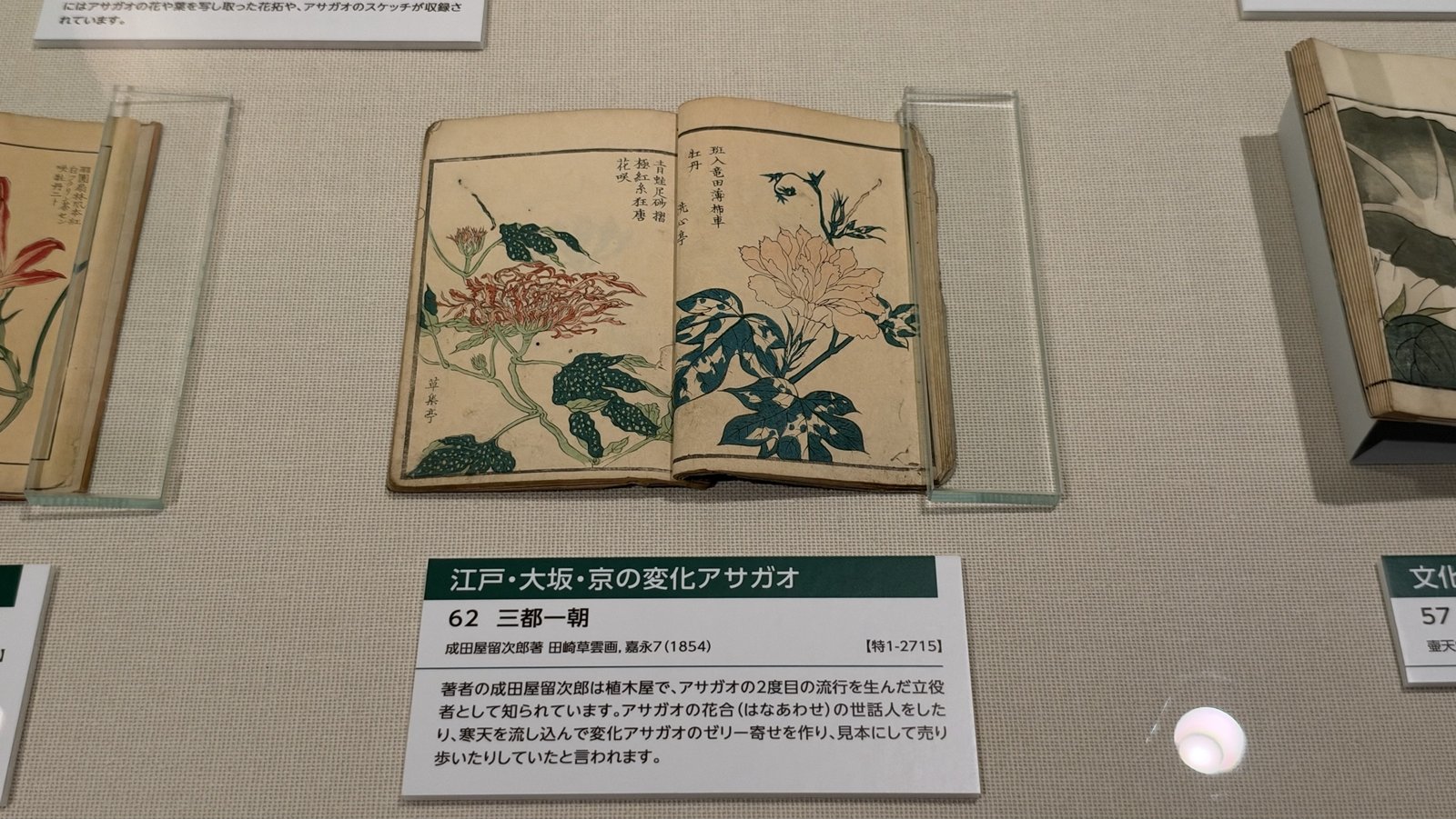 展示資料『三都一朝』と解説